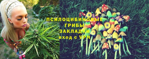 мдпв Киреевск