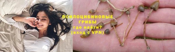 трава Кинешма