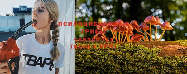 трава Кинешма