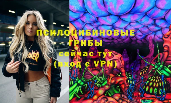 мдпв Киреевск