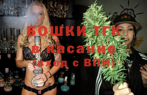 мдпв Киреевск