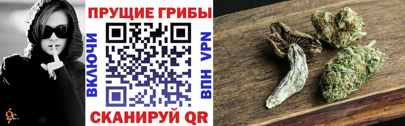 Галлюциногенные грибы GOLDEN TEACHER  Купить закладки  Губкин 