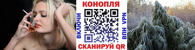 Купить  Губкин  Бошки марихуана ГИДРОПОН 